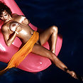 Playboy Playmate of the Month April 1987 Anna Clark - image 