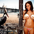Playboy Playmate Brittany Binger - image 