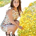 Stacey spring flowers - image 